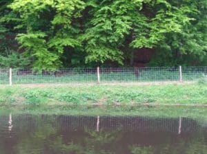 Schutz der Teichanlage vor 2 & 4 Beinern