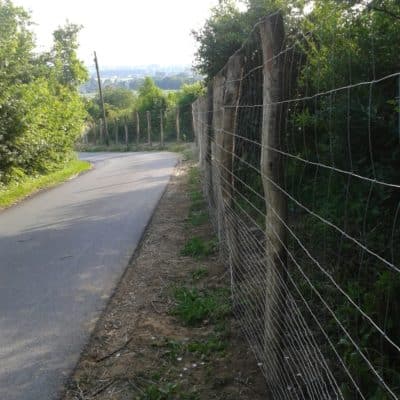 Knotengeflecht Wildschutzzaun Hille