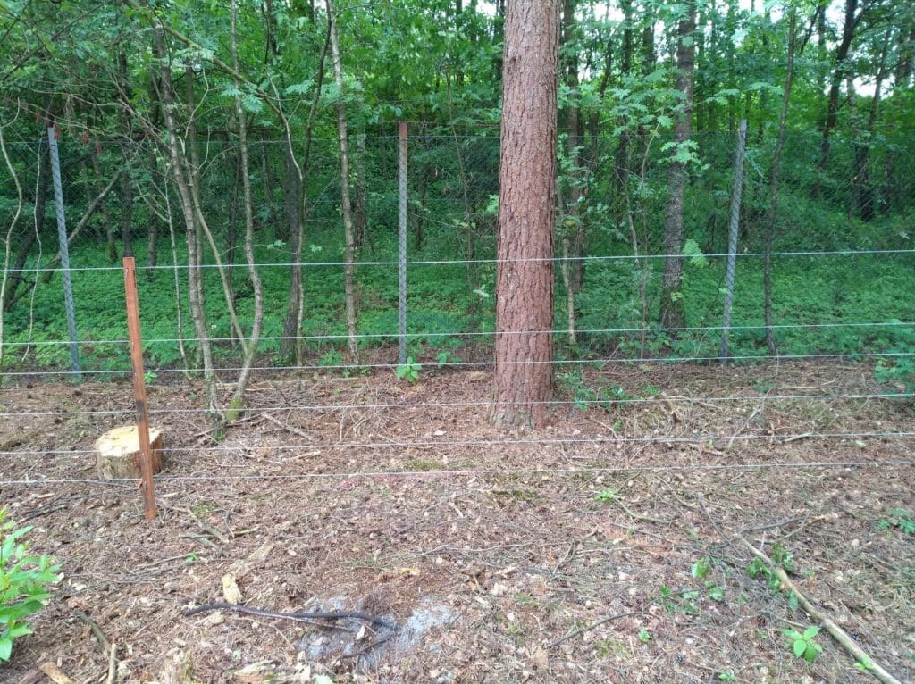Wildschweinzaun Wildschweinschutzzaun Sicherung einer Gartenanlage gegen Wildschweine in OWL