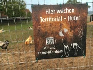 Schutzzaun für Kangale hütesicher