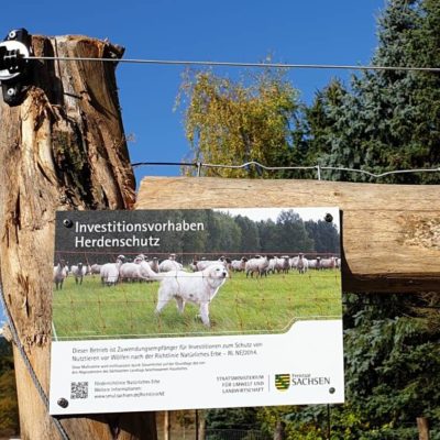 Herdenschutz für Alpaka