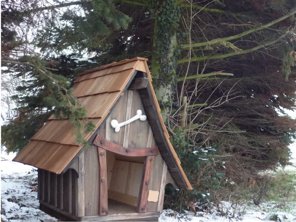 Pinot (3) – Hundehütte