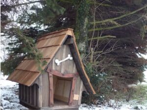 Pinot (3) – Hundehütte