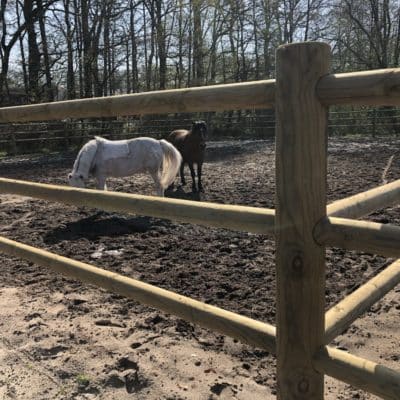 Paddockzaun Tennessee Schloss Holte Rund durch rund