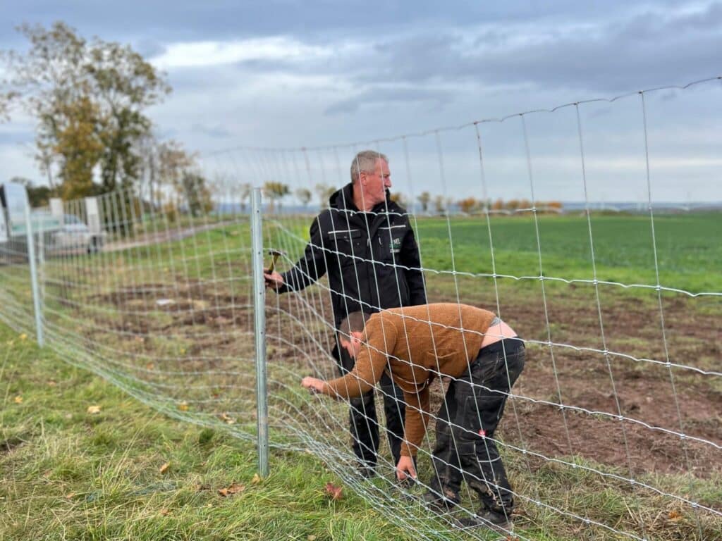 Zaunbau Nordharz mit Hochleistungsgeflecht