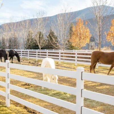 Paddockzaun Riegelzaun Metallzaun