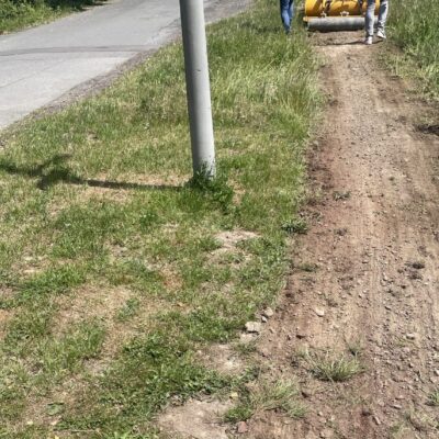 aus Unkraut weg machen